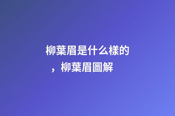 柳葉眉是什么樣的，柳葉眉圖解